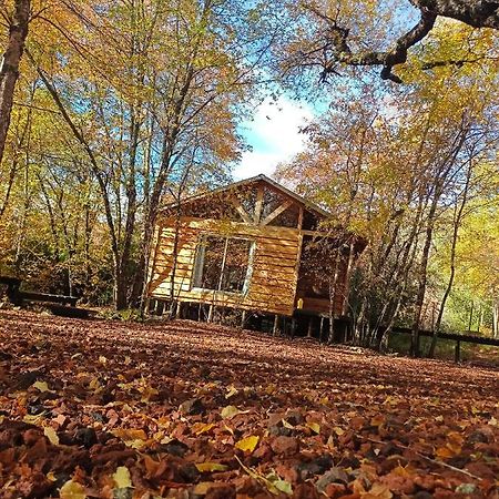 Cabanas Huilipan Las Trancas Dış mekan fotoğraf