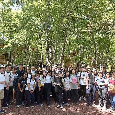 Cabanas Huilipan Las Trancas Dış mekan fotoğraf