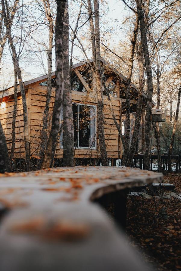 Cabanas Huilipan Las Trancas Dış mekan fotoğraf