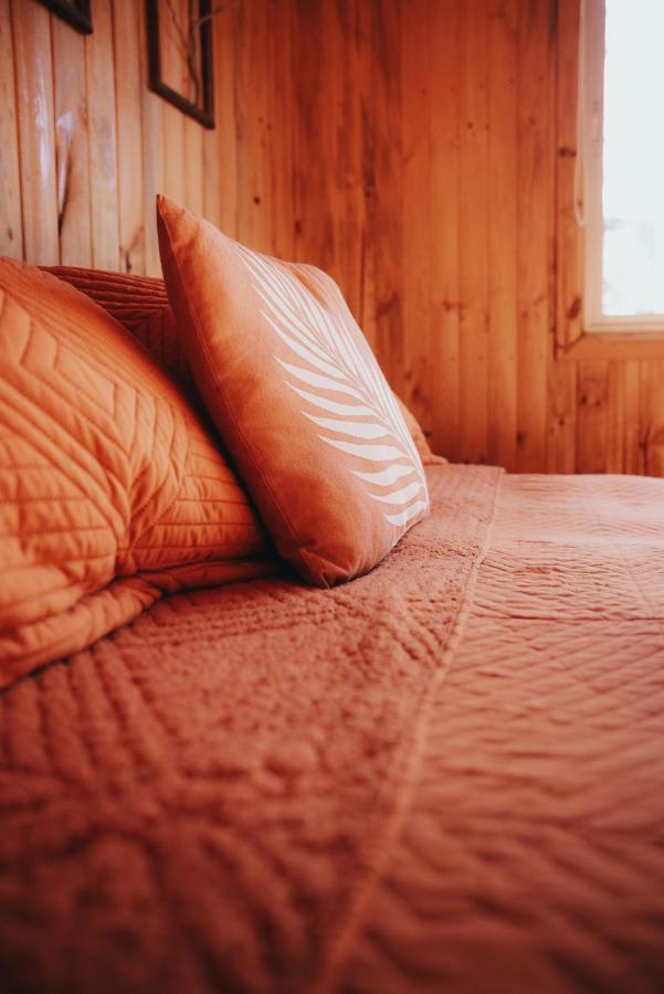 Cabanas Huilipan Las Trancas Dış mekan fotoğraf
