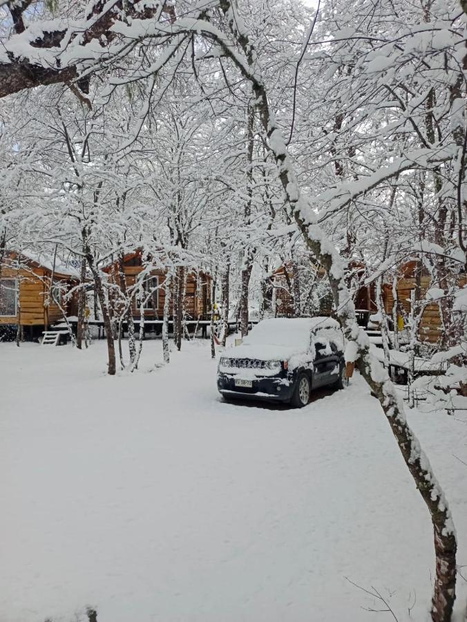 Cabanas Huilipan Las Trancas Dış mekan fotoğraf