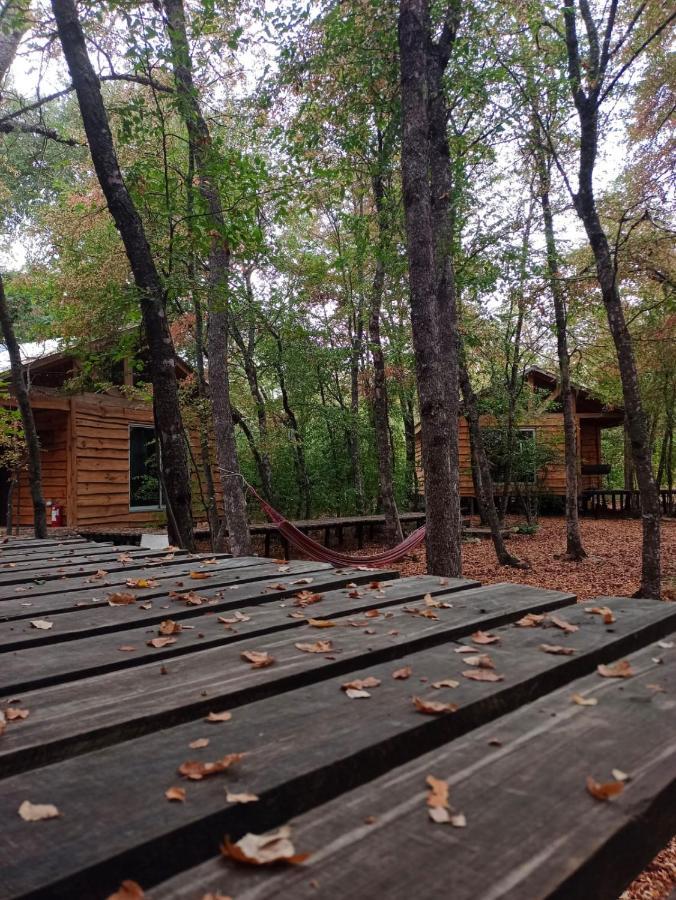 Cabanas Huilipan Las Trancas Dış mekan fotoğraf