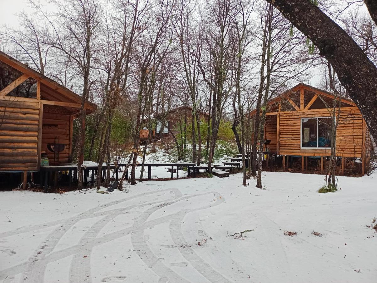 Cabanas Huilipan Las Trancas Dış mekan fotoğraf