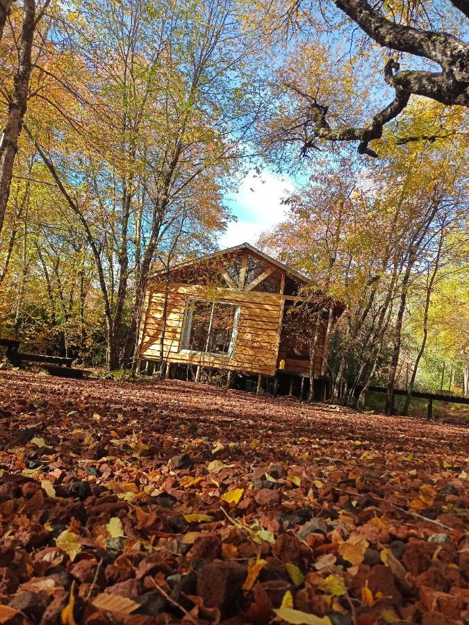 Cabanas Huilipan Las Trancas Dış mekan fotoğraf