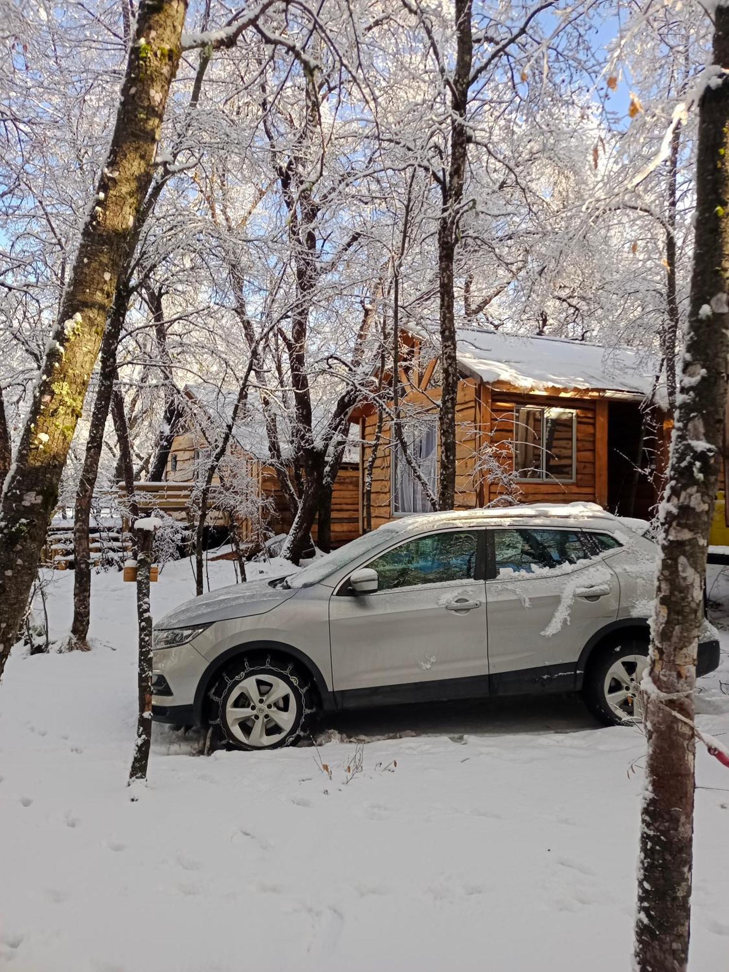 Cabanas Huilipan Las Trancas Dış mekan fotoğraf