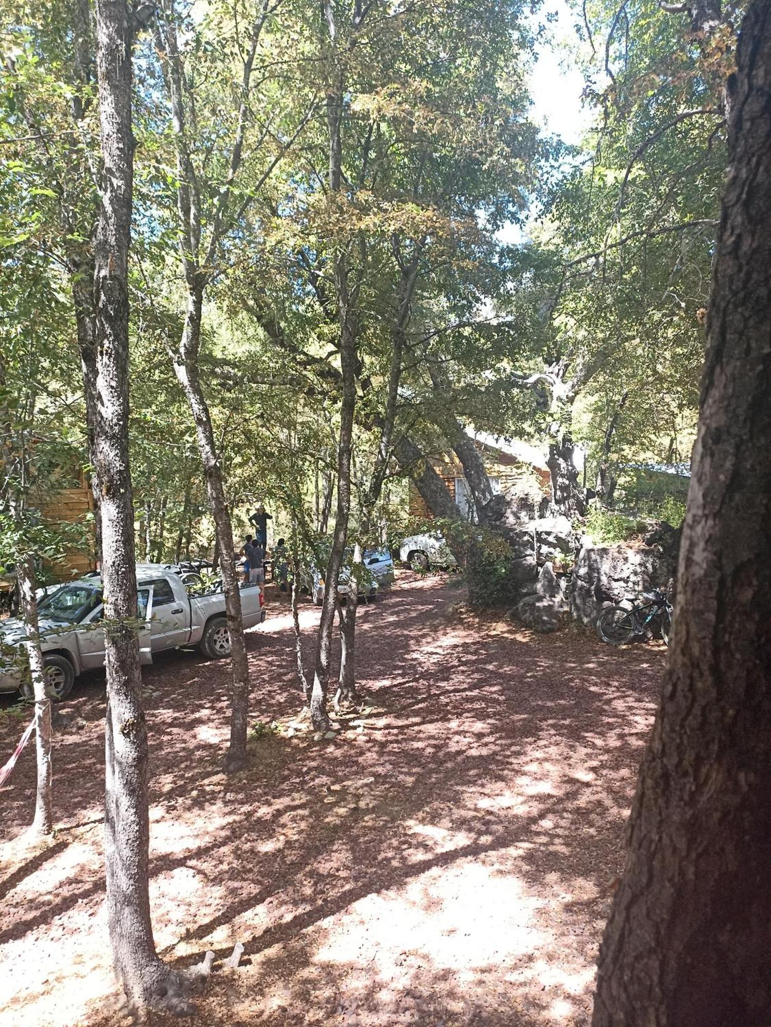 Cabanas Huilipan Las Trancas Dış mekan fotoğraf
