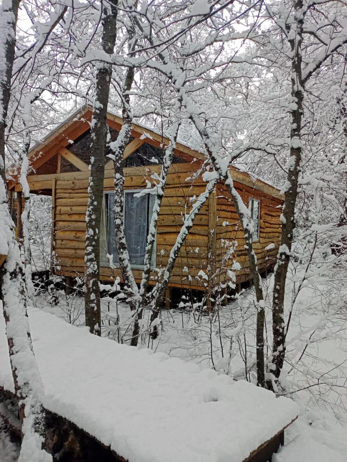 Cabanas Huilipan Las Trancas Dış mekan fotoğraf