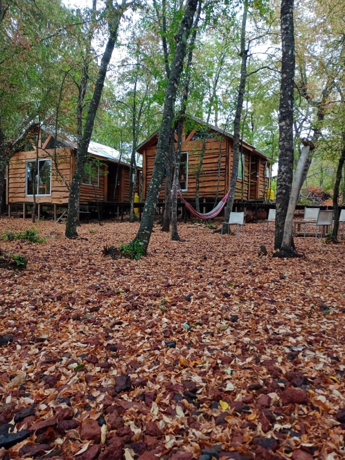 Cabanas Huilipan Las Trancas Dış mekan fotoğraf