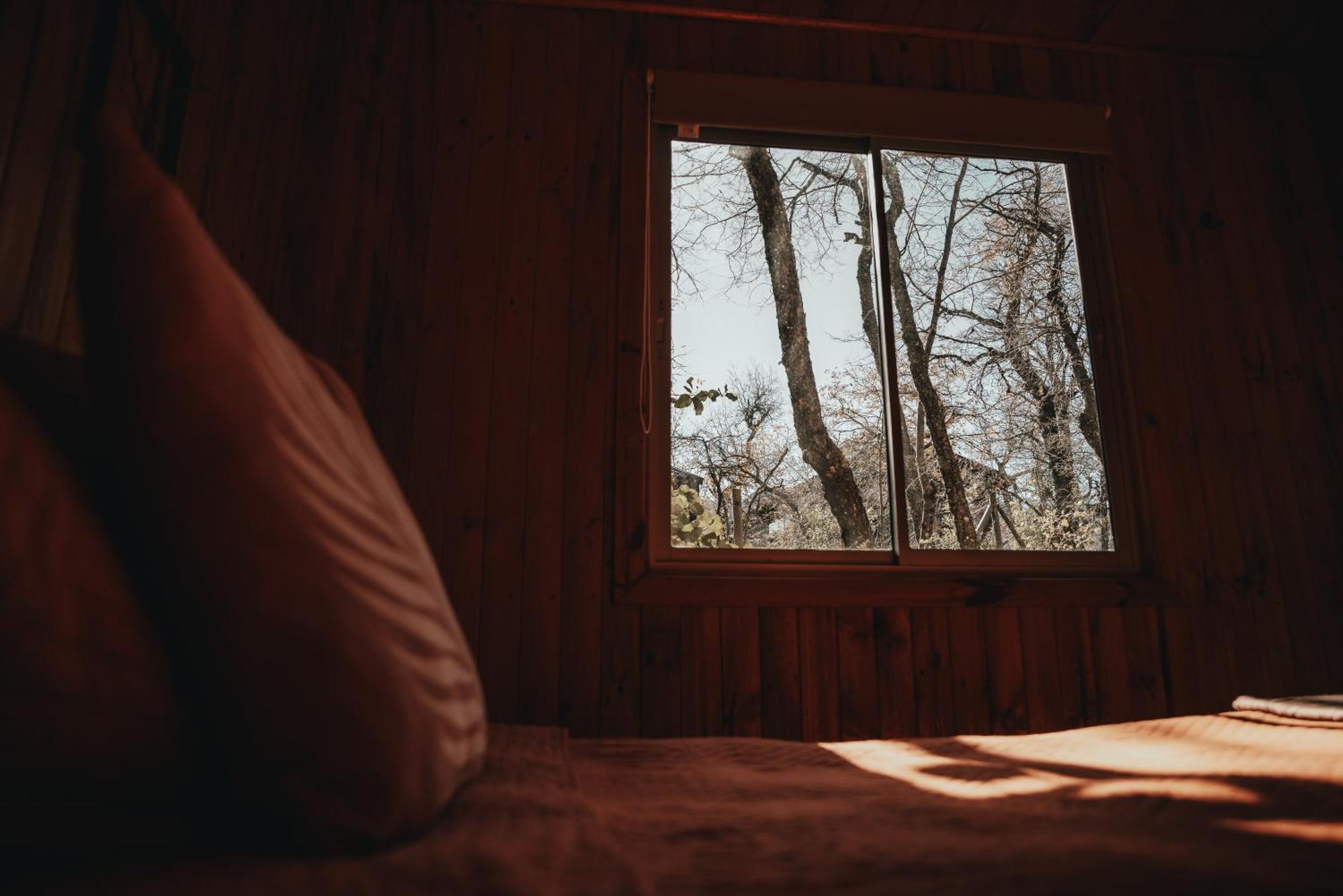 Cabanas Huilipan Las Trancas Dış mekan fotoğraf