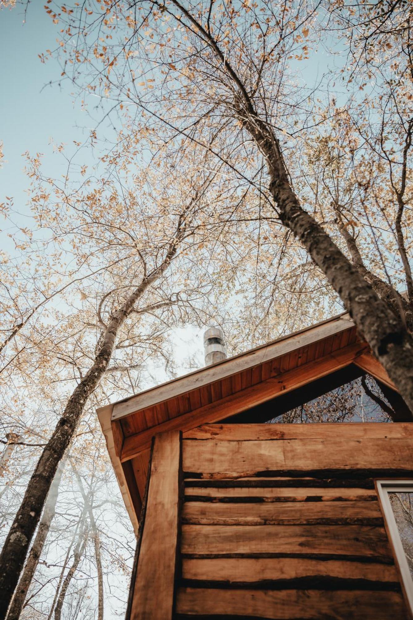 Cabanas Huilipan Las Trancas Dış mekan fotoğraf