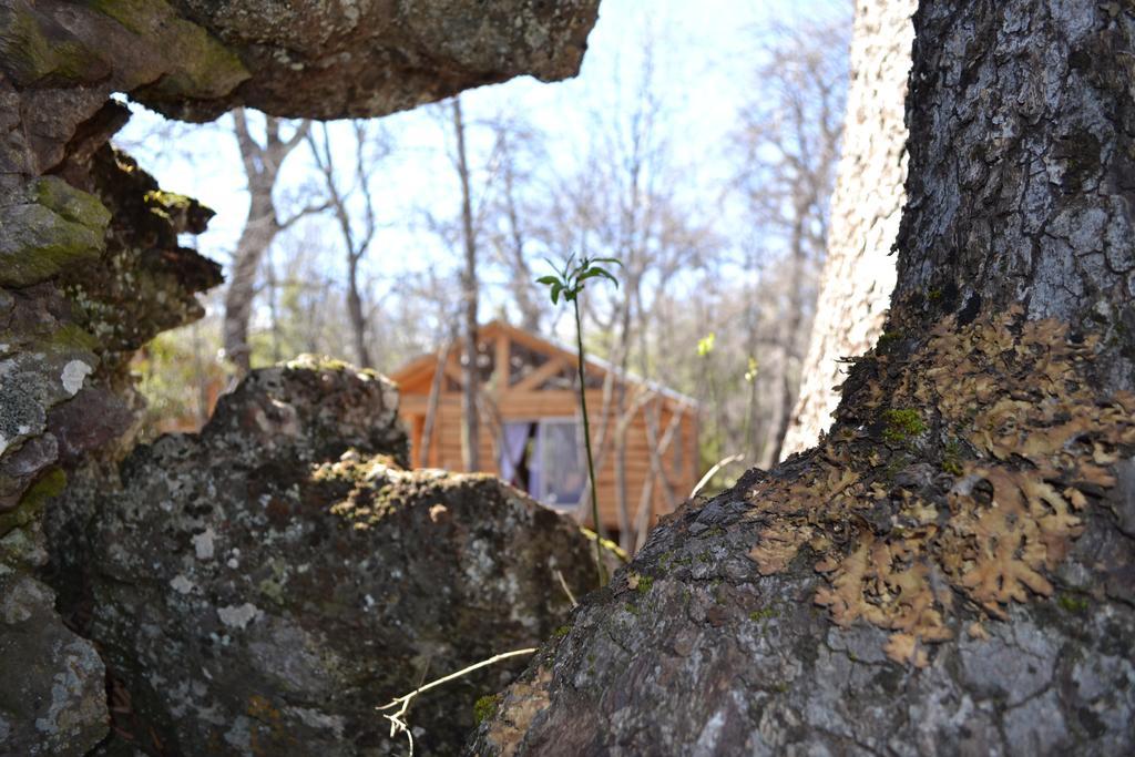 Cabanas Huilipan Las Trancas Dış mekan fotoğraf