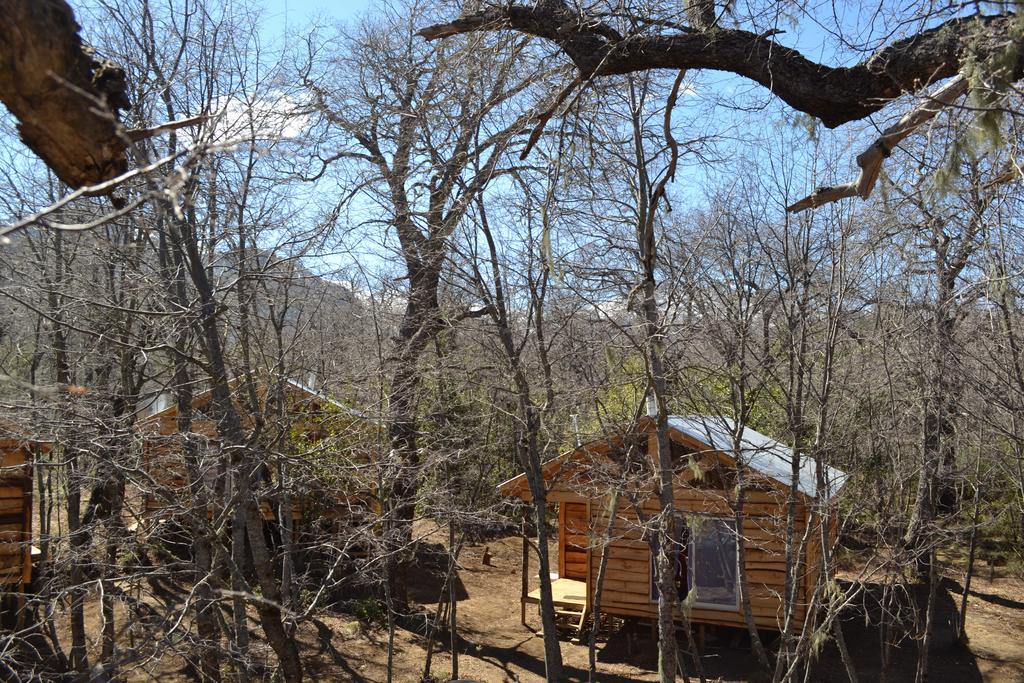 Cabanas Huilipan Las Trancas Dış mekan fotoğraf