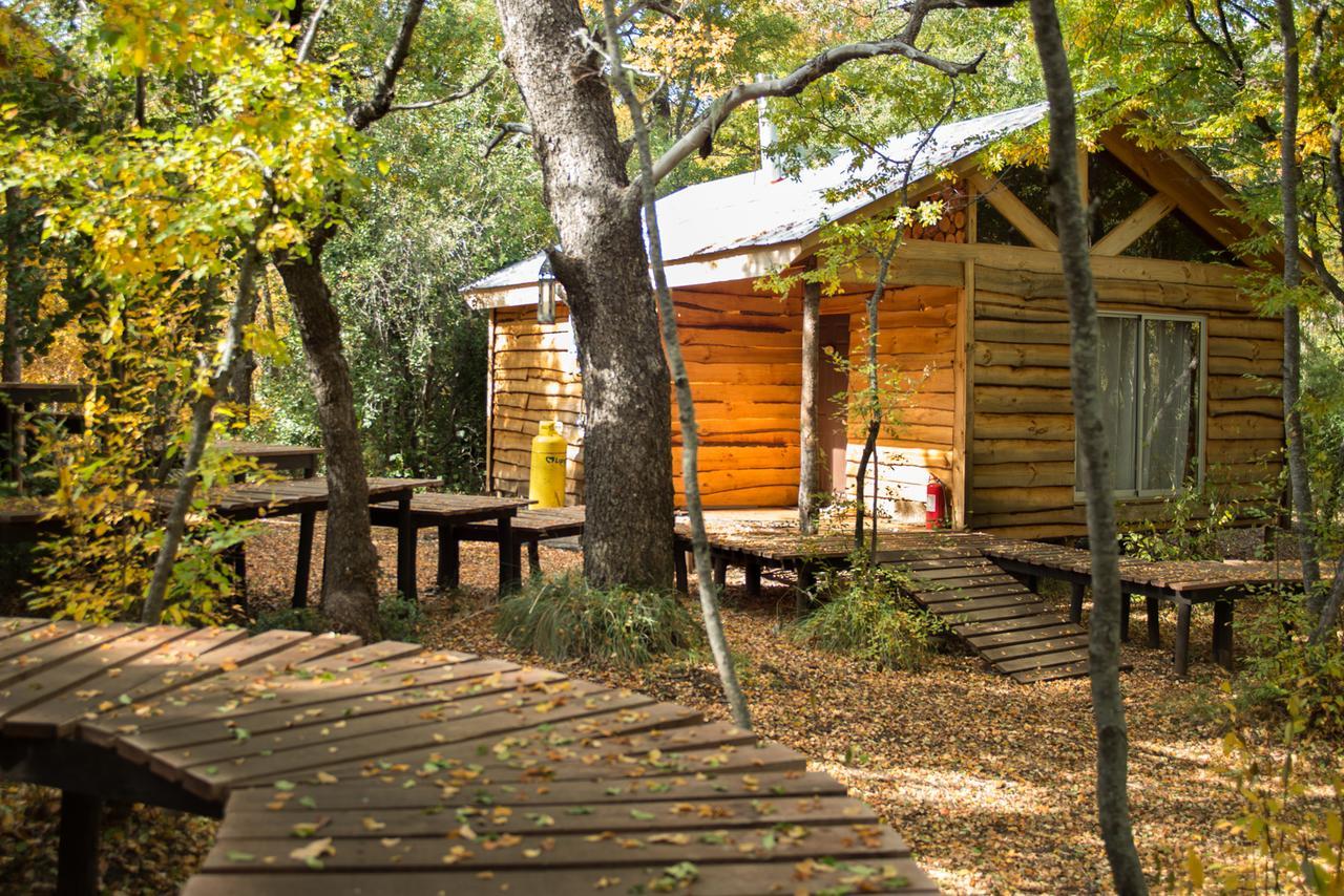 Cabanas Huilipan Las Trancas Dış mekan fotoğraf
