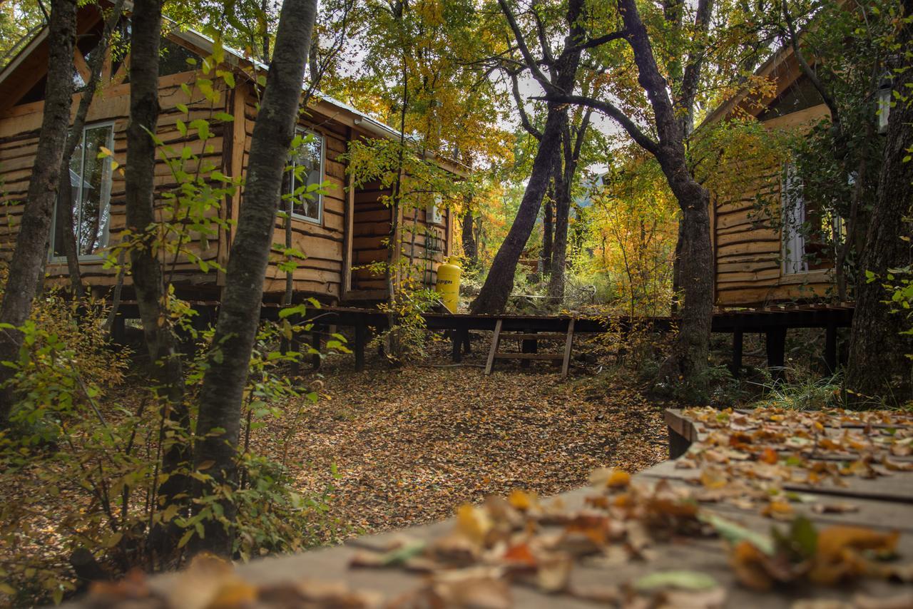 Cabanas Huilipan Las Trancas Dış mekan fotoğraf