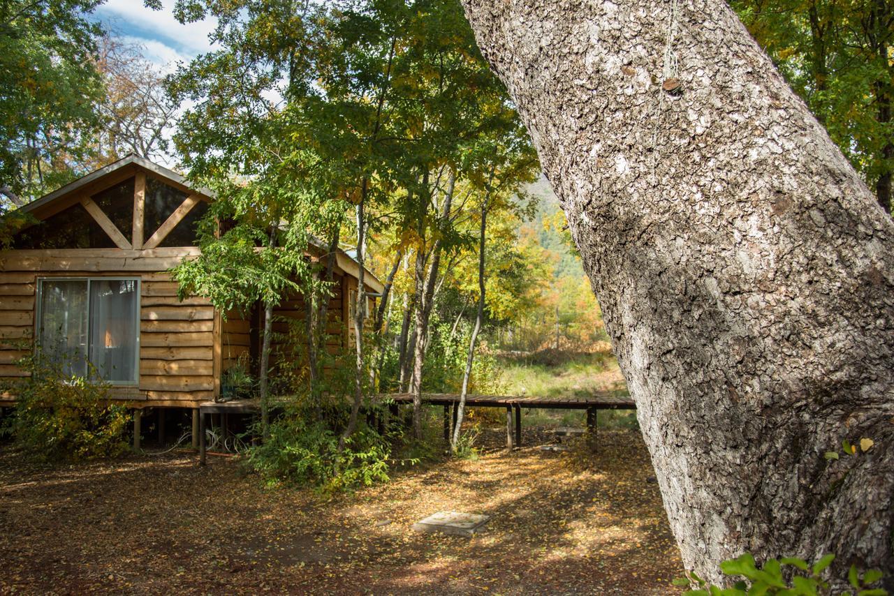 Cabanas Huilipan Las Trancas Dış mekan fotoğraf