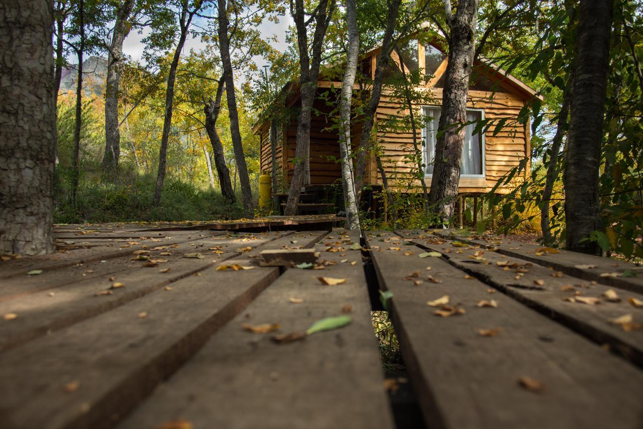 Cabanas Huilipan Las Trancas Dış mekan fotoğraf